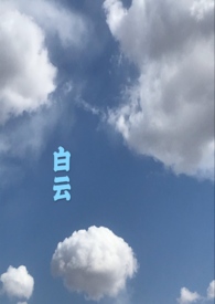白云电器